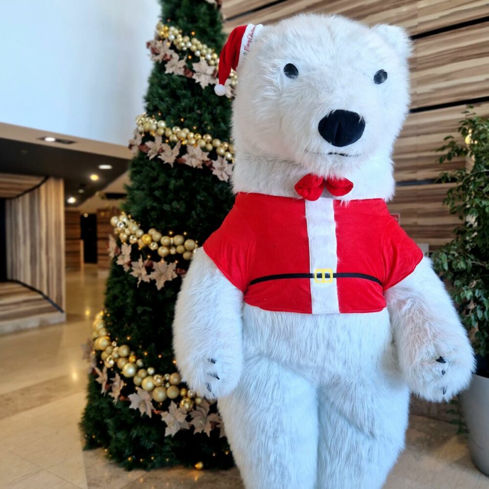 0-02-05-b4a8a800221f66653032d3e5a8834d5301cfe5892b293ba49154026969209761_9e1c8820829c9676